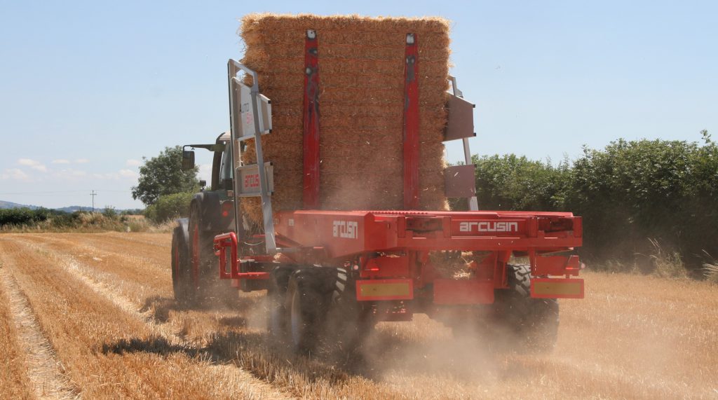 Image source: John W Anderson