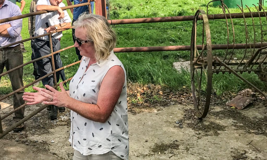 Aideen Treacy addressing the crowd at the farm walk