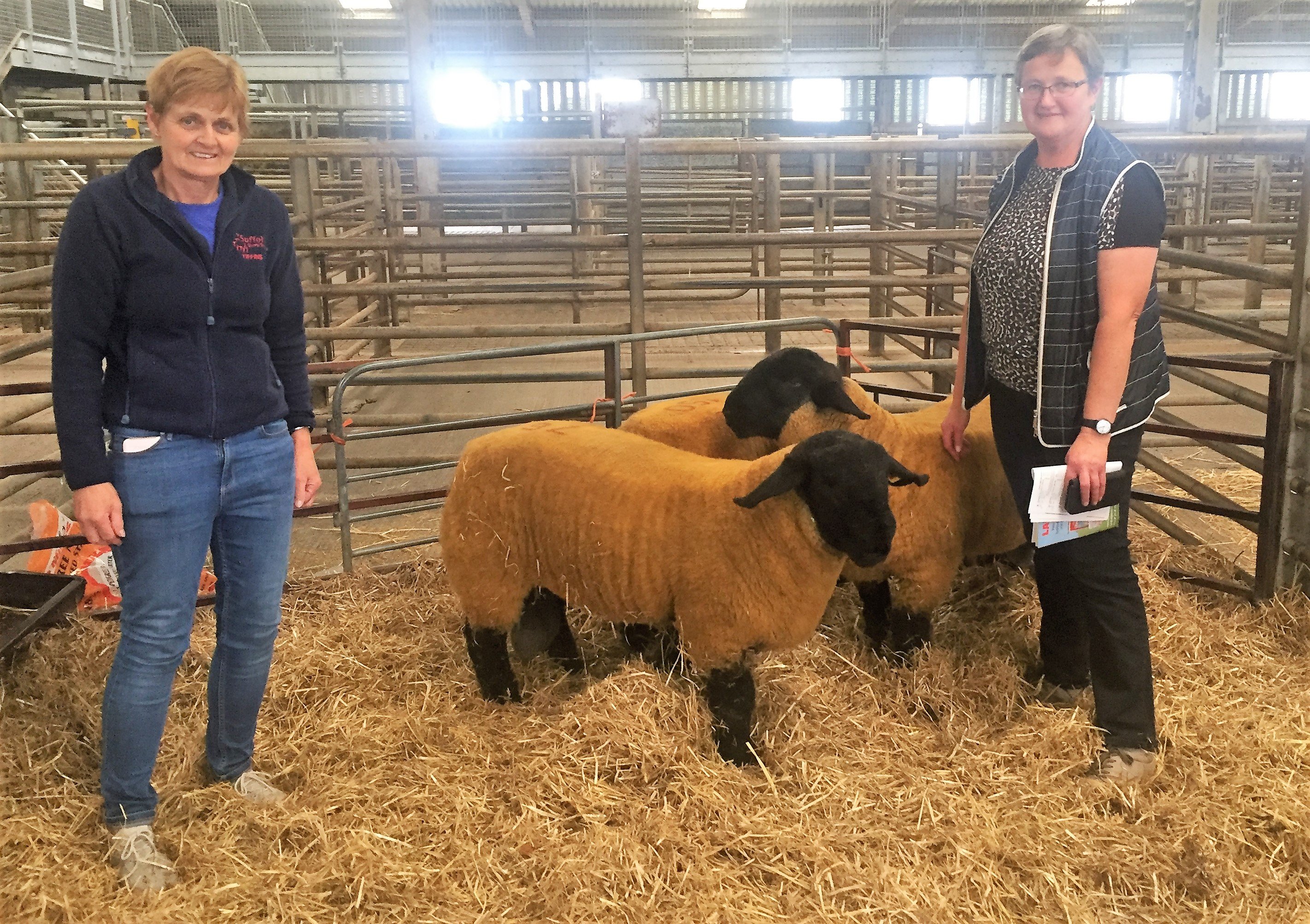 Valerie Tiffin and Susan O’Keeffe pictured at the Premier Show and Sale