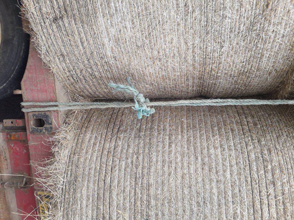 Image source: Garda Siochana – Cork, Kerry &amp; Limerick – Southern Region Facebook page