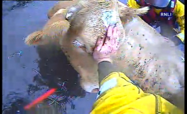 Image source: Lough Ree RNLI