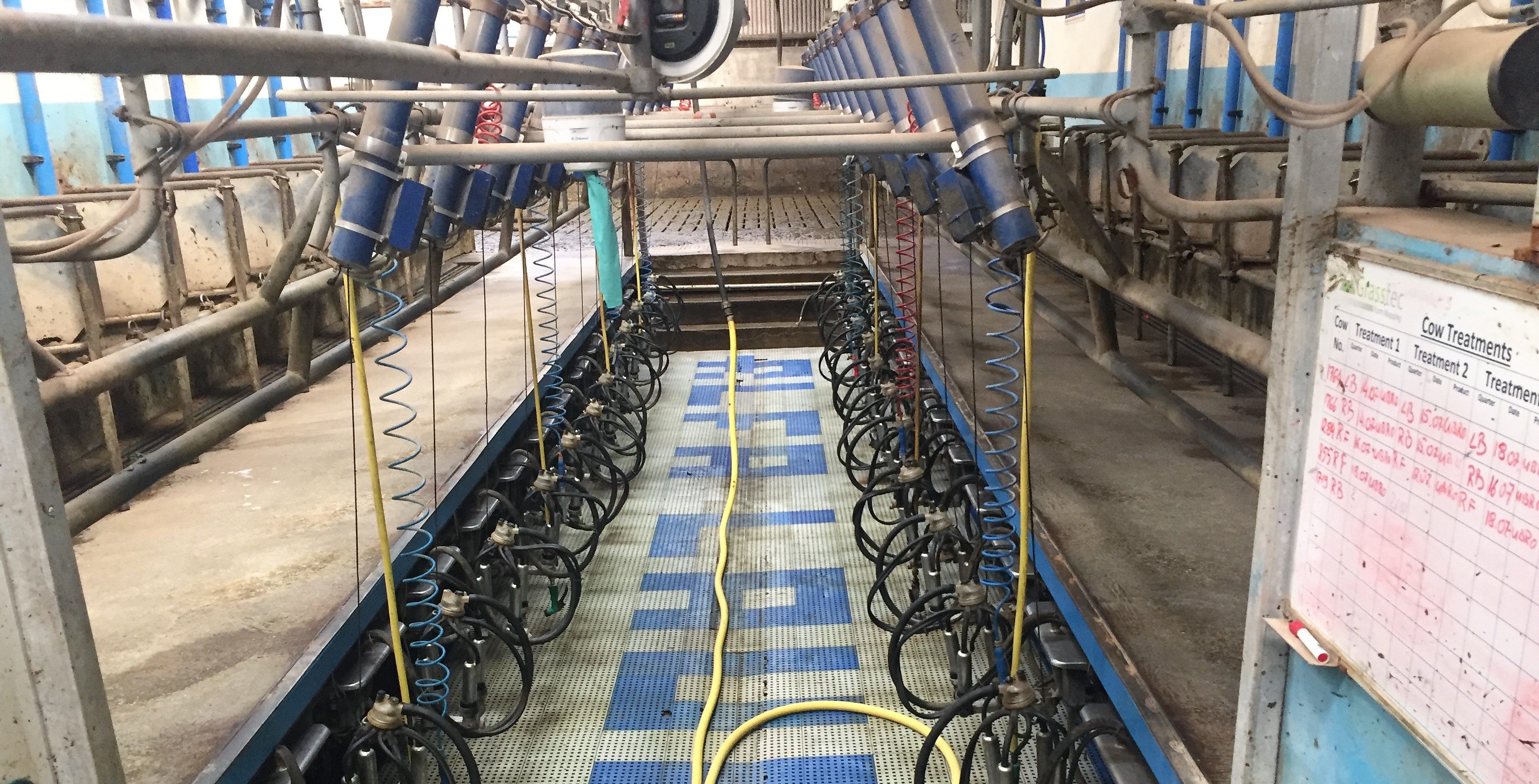 Once the new parlour is built, the existing parlour won’t be made redundant. It will be kept in operation to train students and milk any problem cows