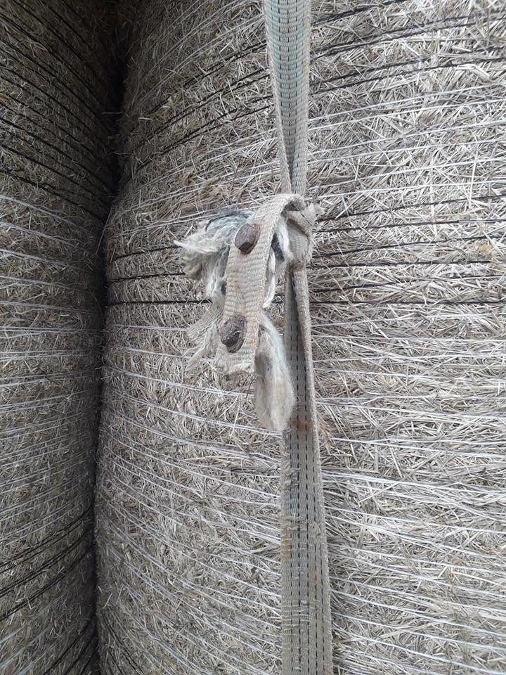 Image source: An Garda Siochana