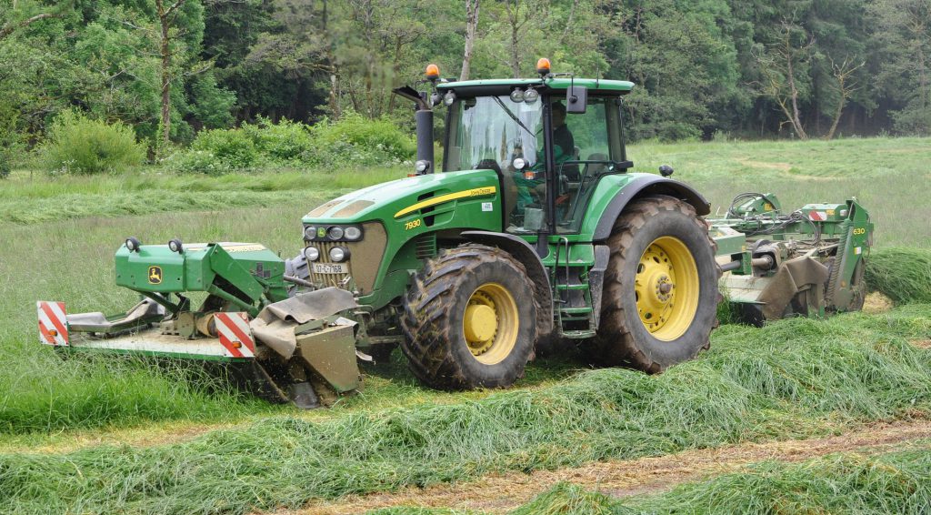 Image source: Shane Casey