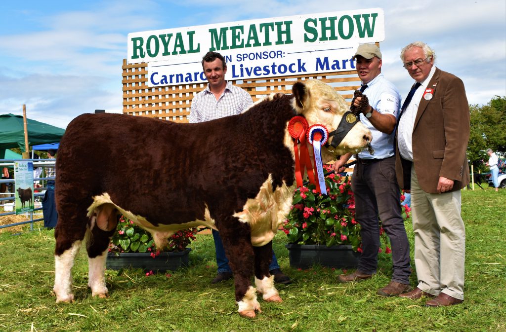 Hereford Reserve Champion: Michael Molloy’s ‘Moyclare Quinlan’ with IHBS president Martin Murphy and Tony Bradstock – owner of the UK herd Free Town Herefords