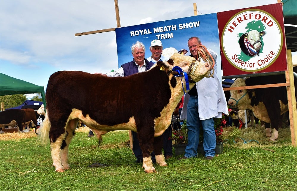 Male Reserve Champion: Eamon and John McKiernan with Knockmountagh Mozart