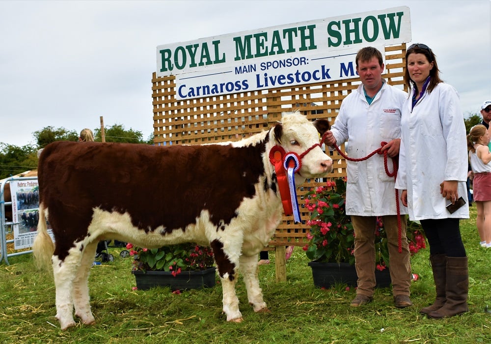 Heifer Champion: Sean McKiernan Corlismorepoll 1 Sydney 941