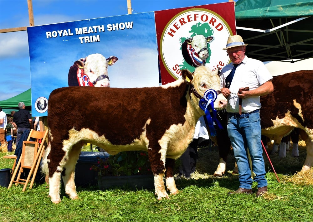 Heifer Reserve Champion: Padraig McGrath pictured with Kye Holly794 Sire: Freetown Hotspur Dam: Kye Sorcha 4th