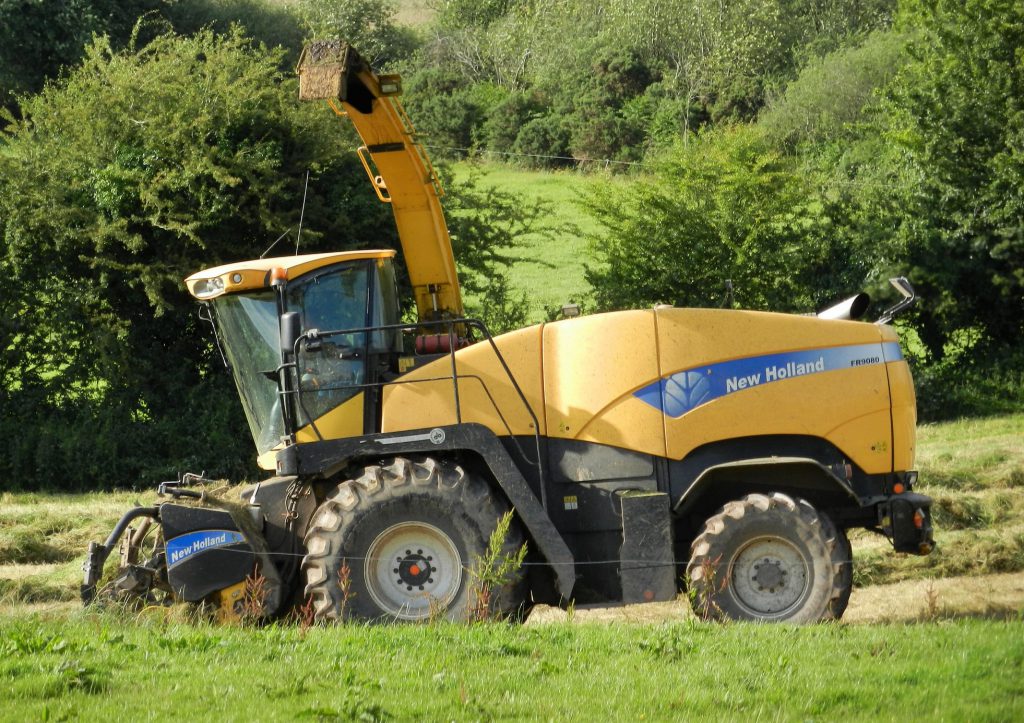 Image source: Shane Casey