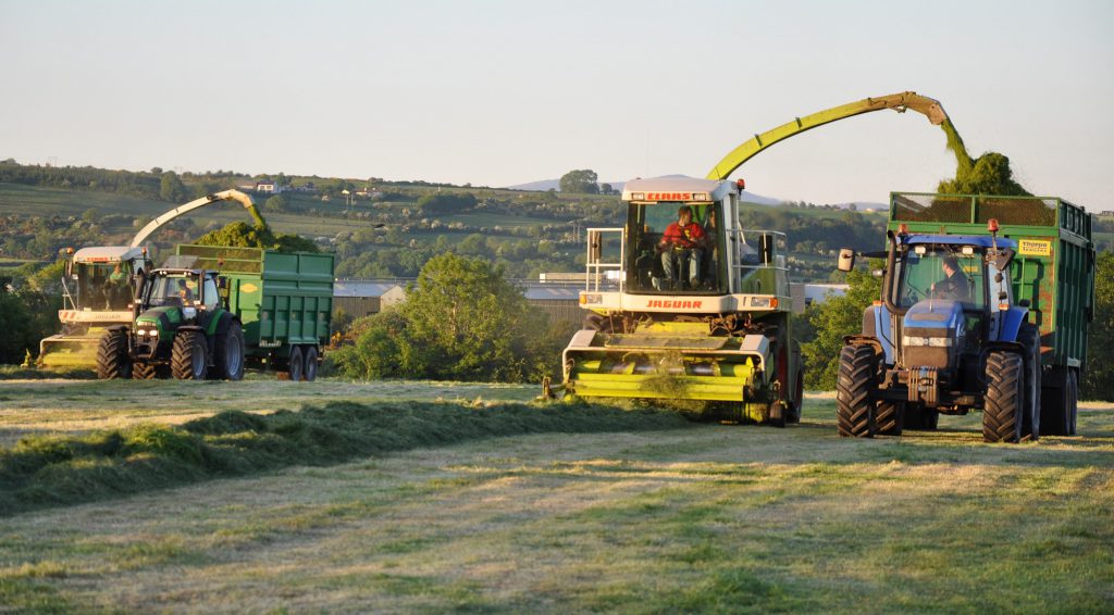 Image source: Shane Casey