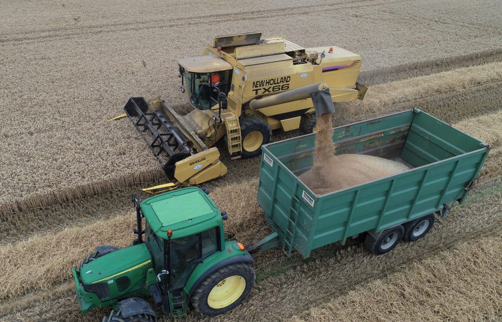 Image source: John W Anderson