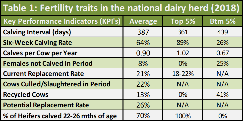 The above table shows a summary of the fertility performance for the average, top 5% and bottom 5% of herds based on data from the latest HerdPlus Dairy Calving reports. Table source: ICBF