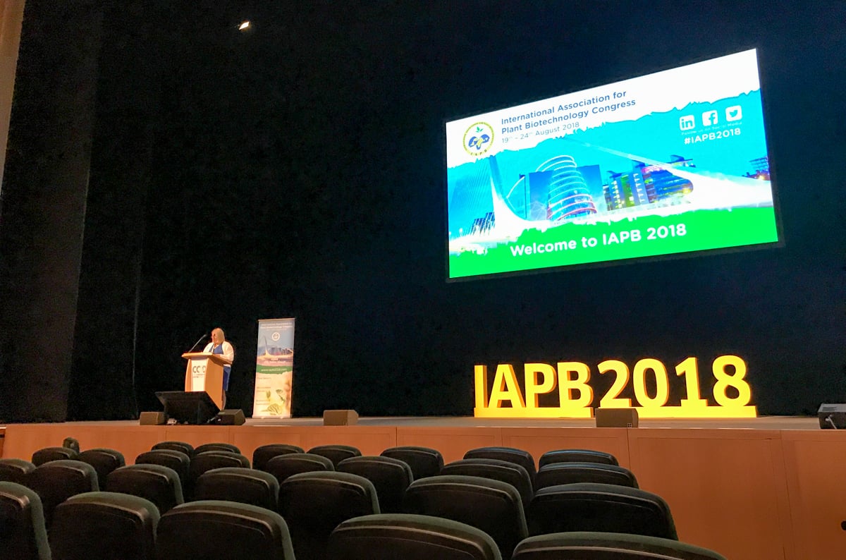 Dr. Barbara Doyle Prestwich introducing Michelle Miller at the IAPB conference in the Convention Centre, Dublin