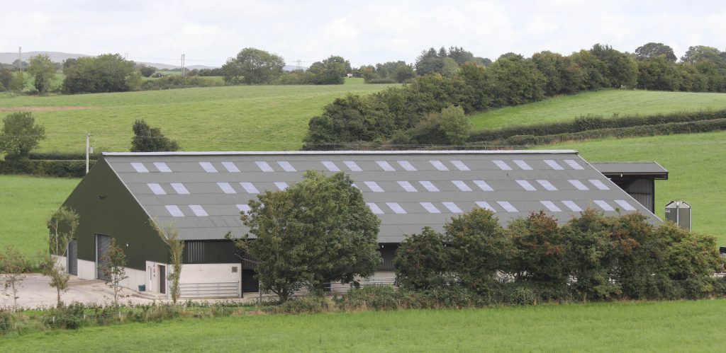 Image source: Julie Hazelton