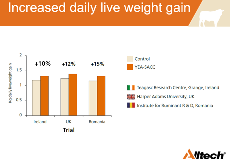Table 1: The effect of Yea-Sacc® on daily live weight gain