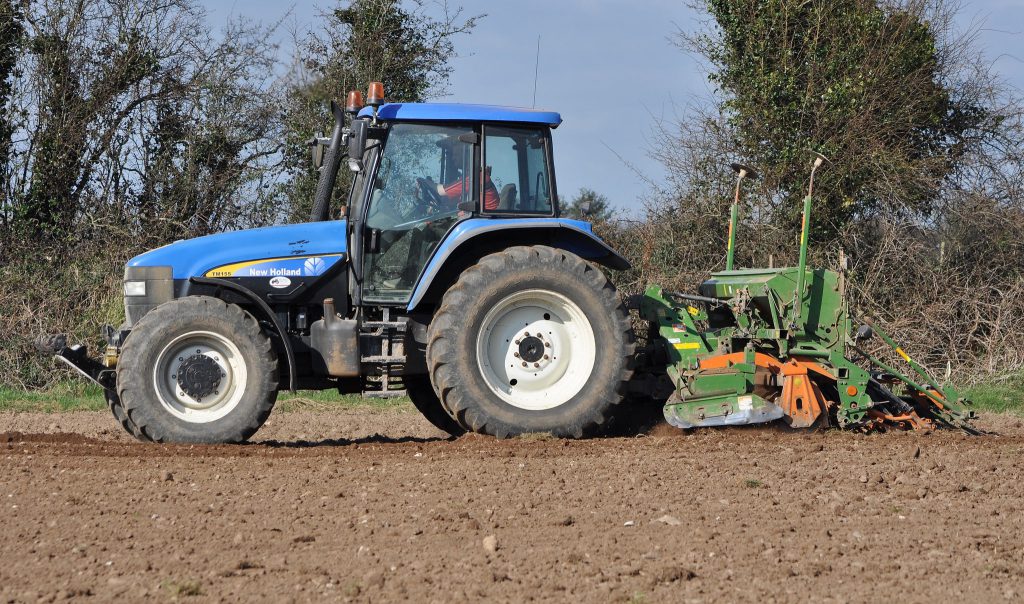 Image source: Shane Casey