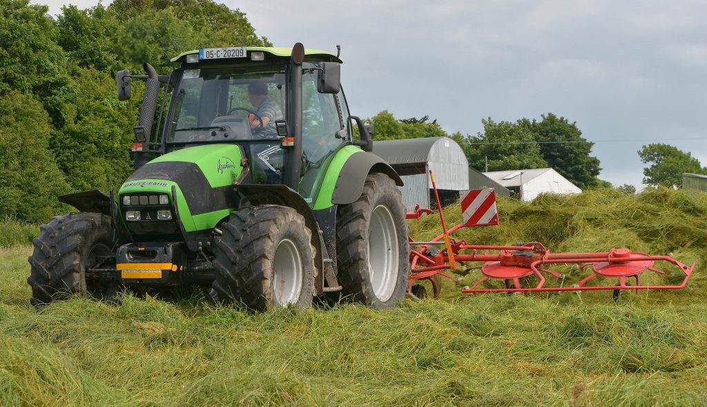 Image source: Shane Casey