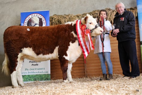IHBS president Martin Murphy presents the Hereford Female Champion Cup to Catherine Smyth