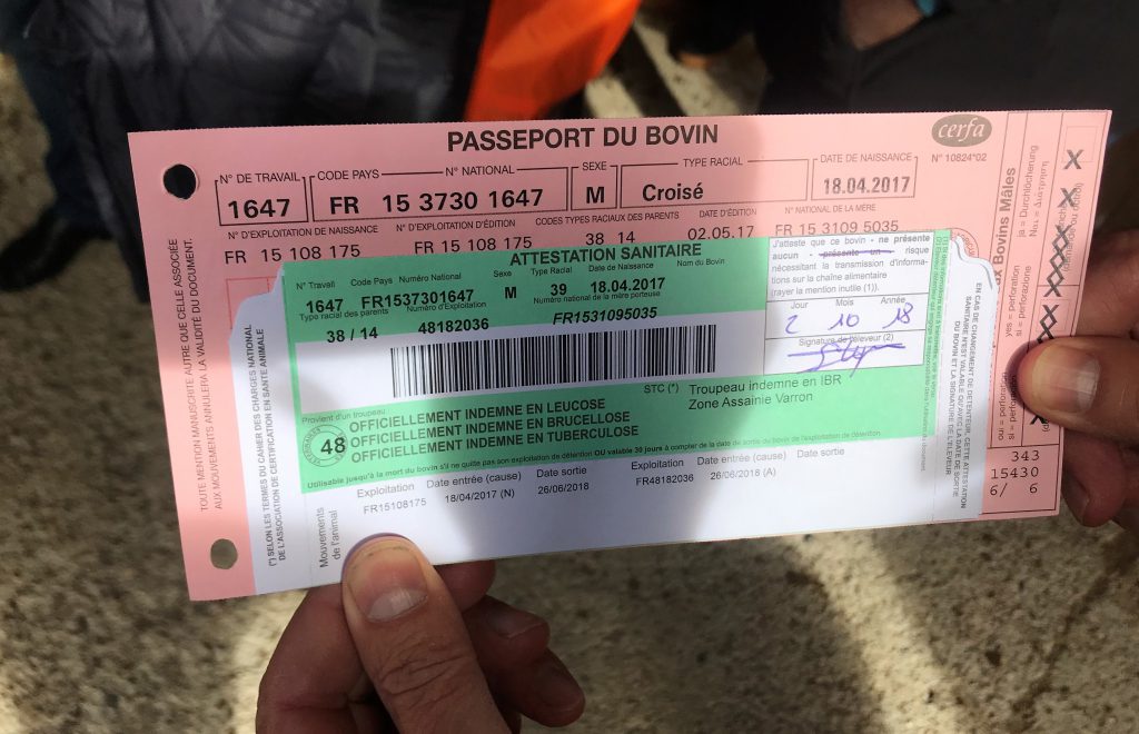 Animal identification card/passport