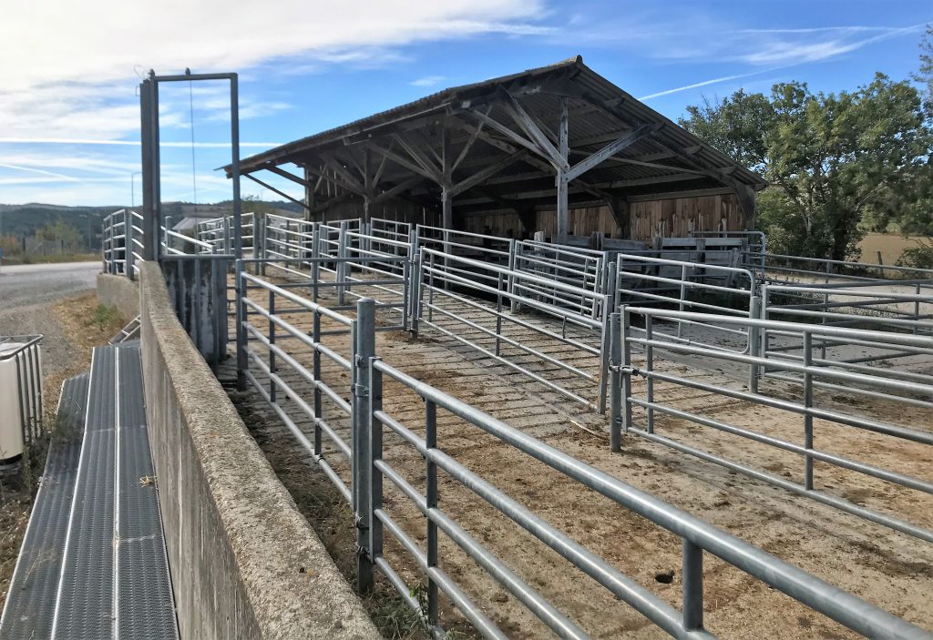 Loading and unloading bay for cattle