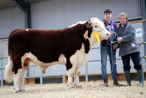Joey Larkin and Tom Maher with his new bull that sold for €3,500