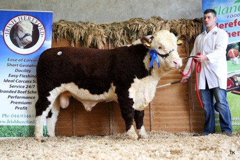 Shane O’Driscoll with Butlerstown Duke which made €3,000