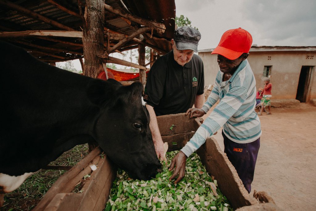 Image source: Sean Curtin