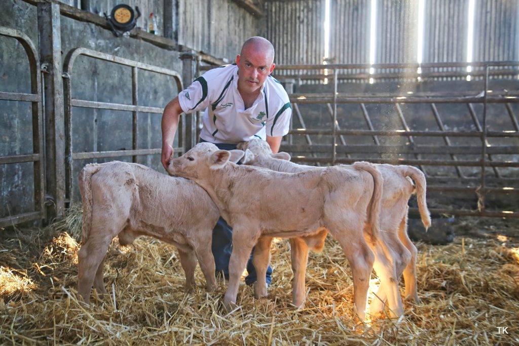 Image source: Tricia Kennedy