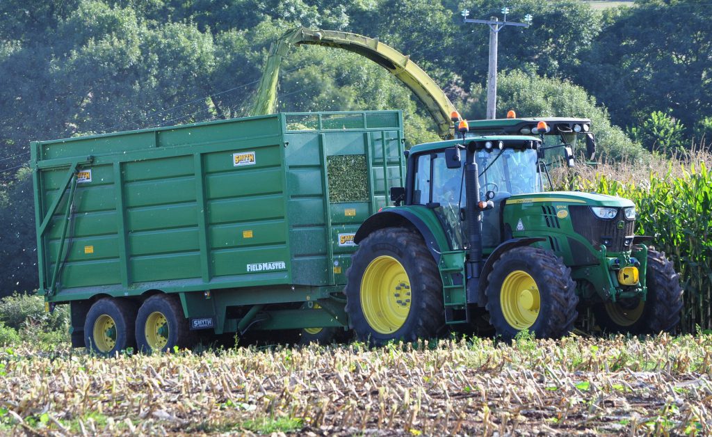 Image source: Shane Casey