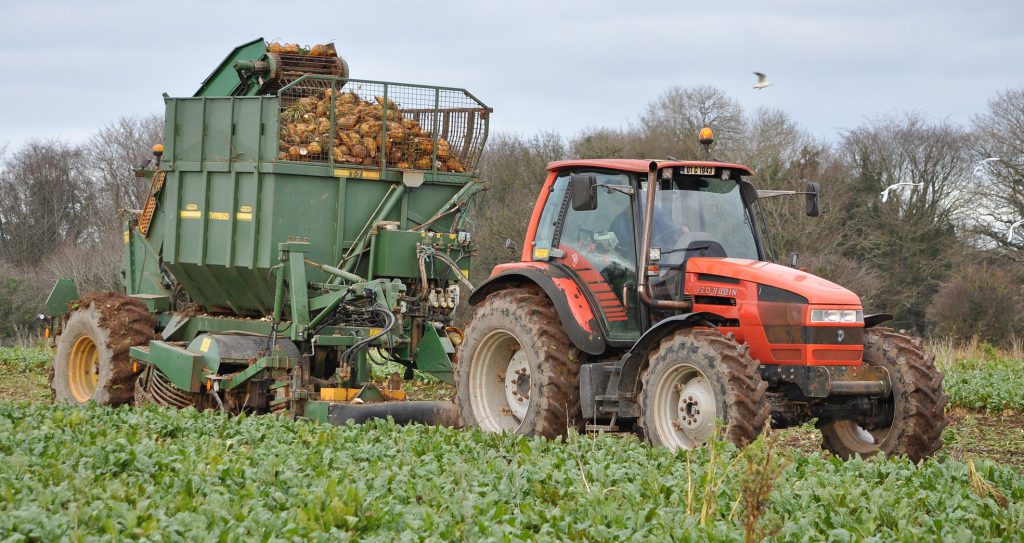 Image source: Shane Casey