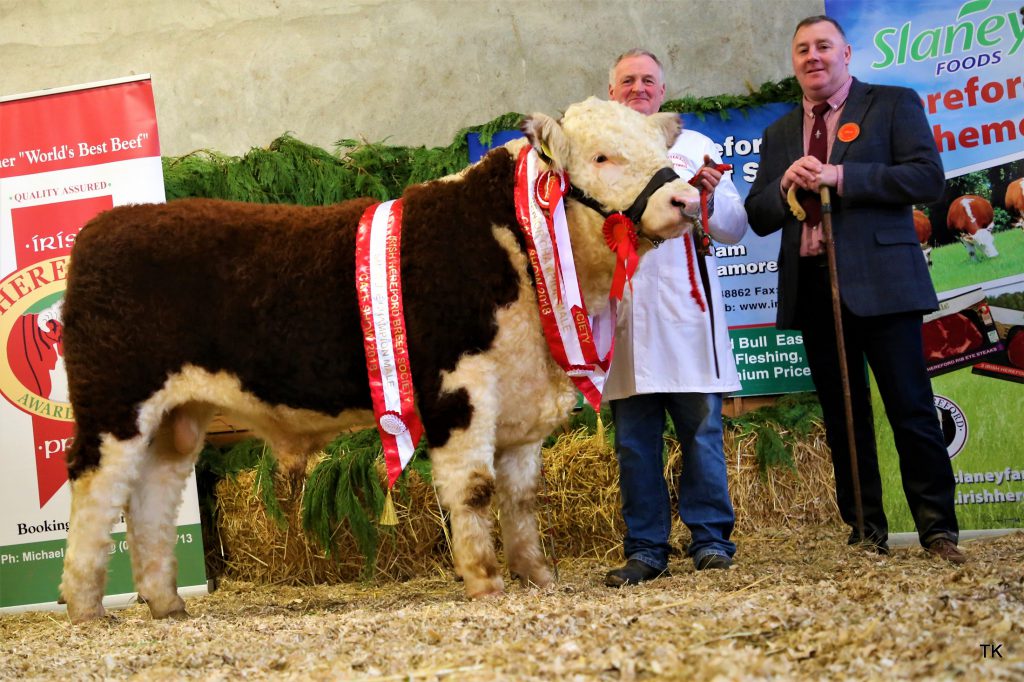 Supreme Male Champion and Senior Male Champion “Gurtergah Aristocrat” with owner Michael O’Keeffe and judge William Smith