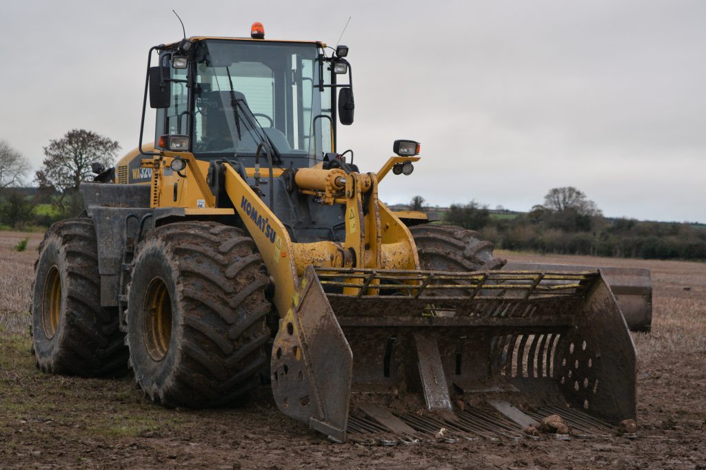 Image source: Shane Casey