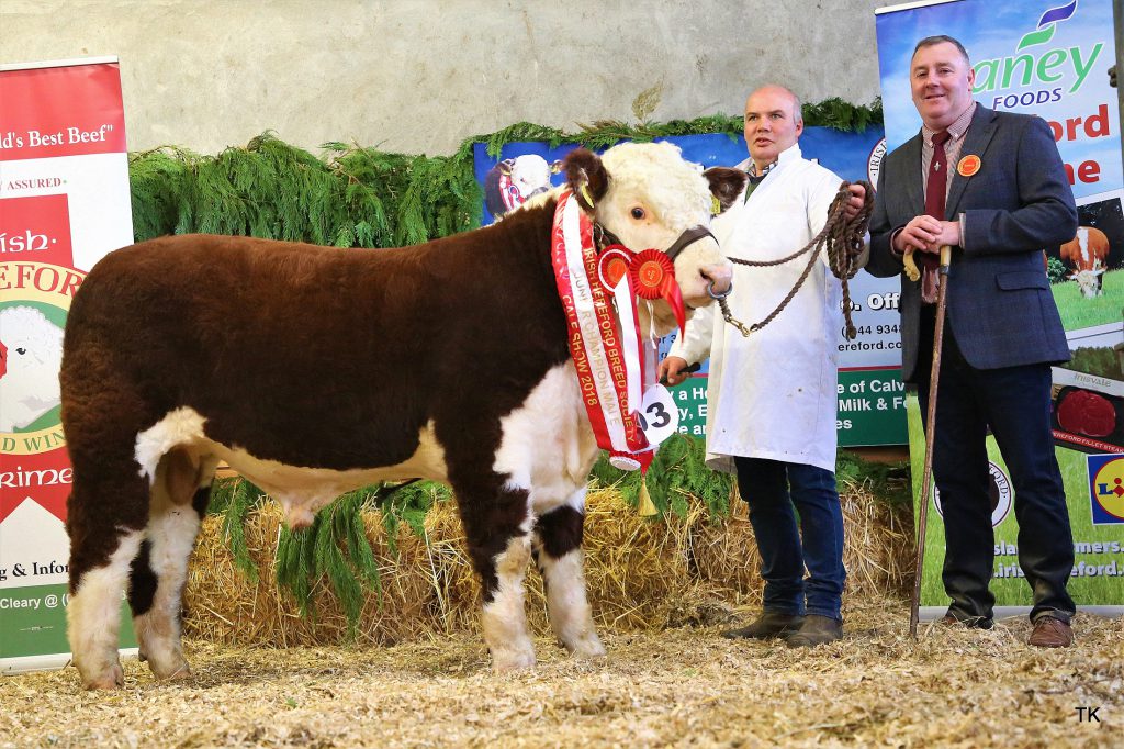 Reserve Supreme and Junior Male Champion “Moyclare Royal” with owner Michael Molloy and judge William Smith