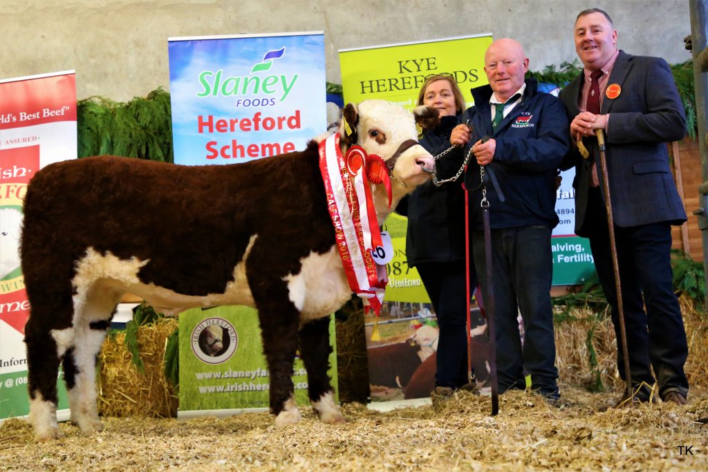 Supreme Female Champion and Junior Female Champion “Kye Holly 818” with owners Catherine and Padraig McGrath and judge William Smith