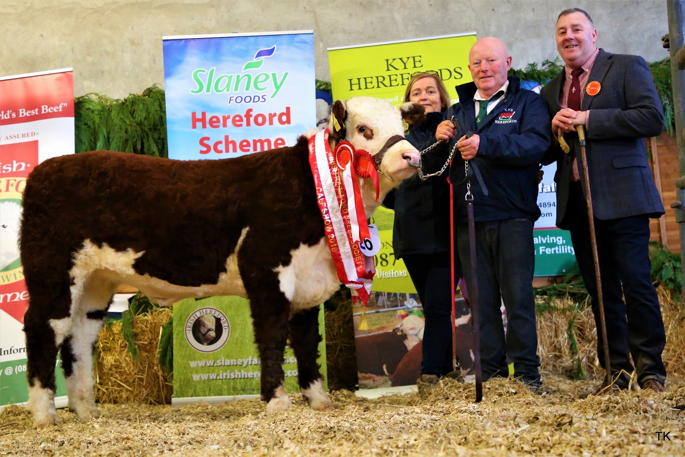 Supreme Female Champion and Junior Female Champion “Kye Holly 818” with owners Catherine and Padraig McGrath and judge William Smith