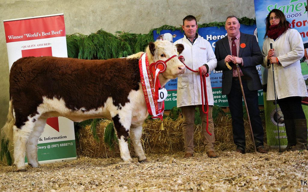 Reserve Supreme Female Champion and Senior Female Champion “Corlismorepoll 1 Sydney 941” with owners Gary and Evelyn McKiernan and judge William Smith