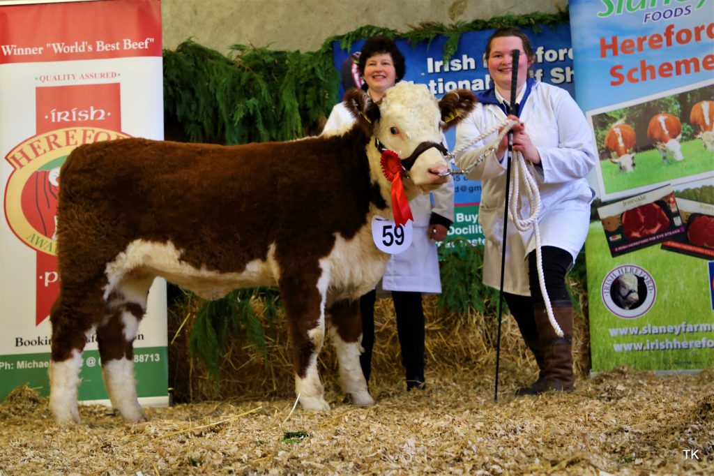 Reserve Junior Female Champion “Glosterbeg Erica” with owners Davina and Lesley Lewis