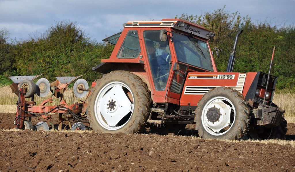 Image source: Shane Casey