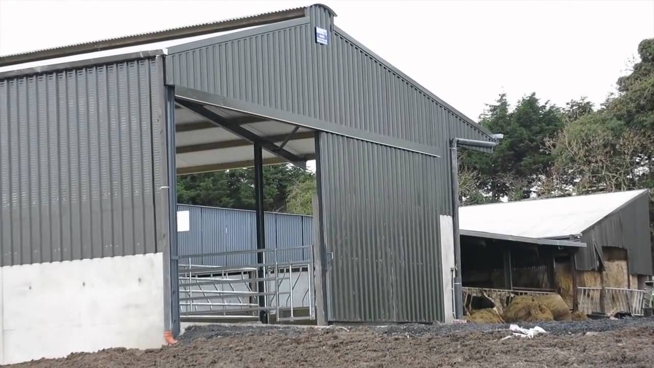 Modern loose cattle shed