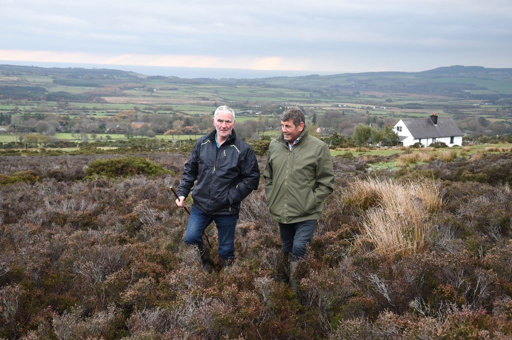 Minister of State Andrew Doyle and Peter Molloy. Image source: Justin Farrelly