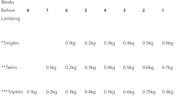 Example of a meal feeding programme for ewes on 70% DMD (Dry Matter Digestibility) silage and a body condition score of 3.0. Source: Teagasc