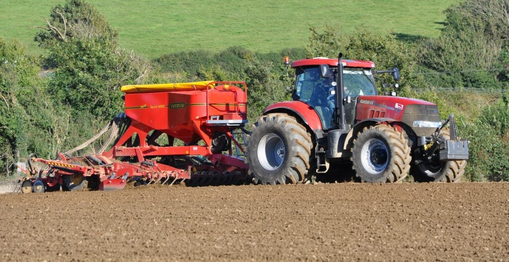 Image source: Shane Casey