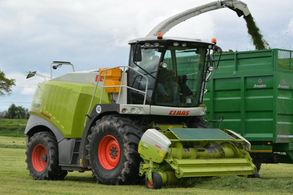 Image source: Shane Casey