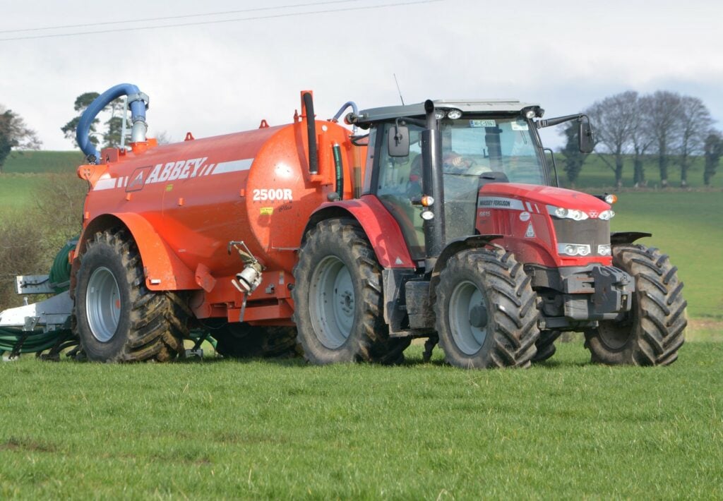 Image source: Shane Casey