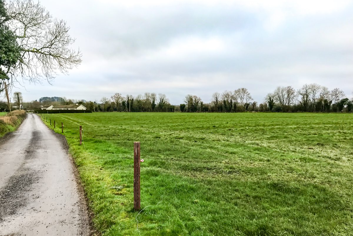 Slurry was spread on paddocks during the dry weather