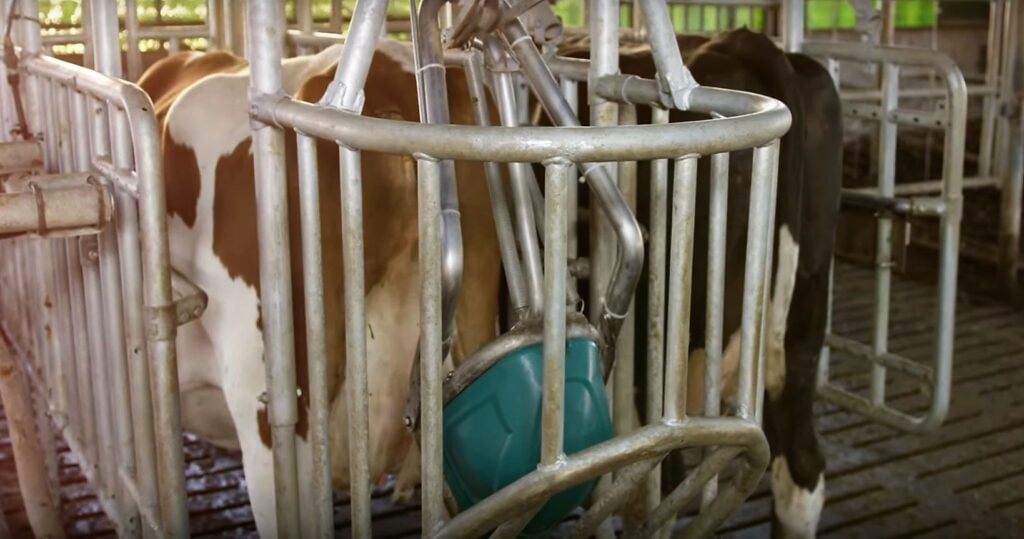 Image source: Hanskamp