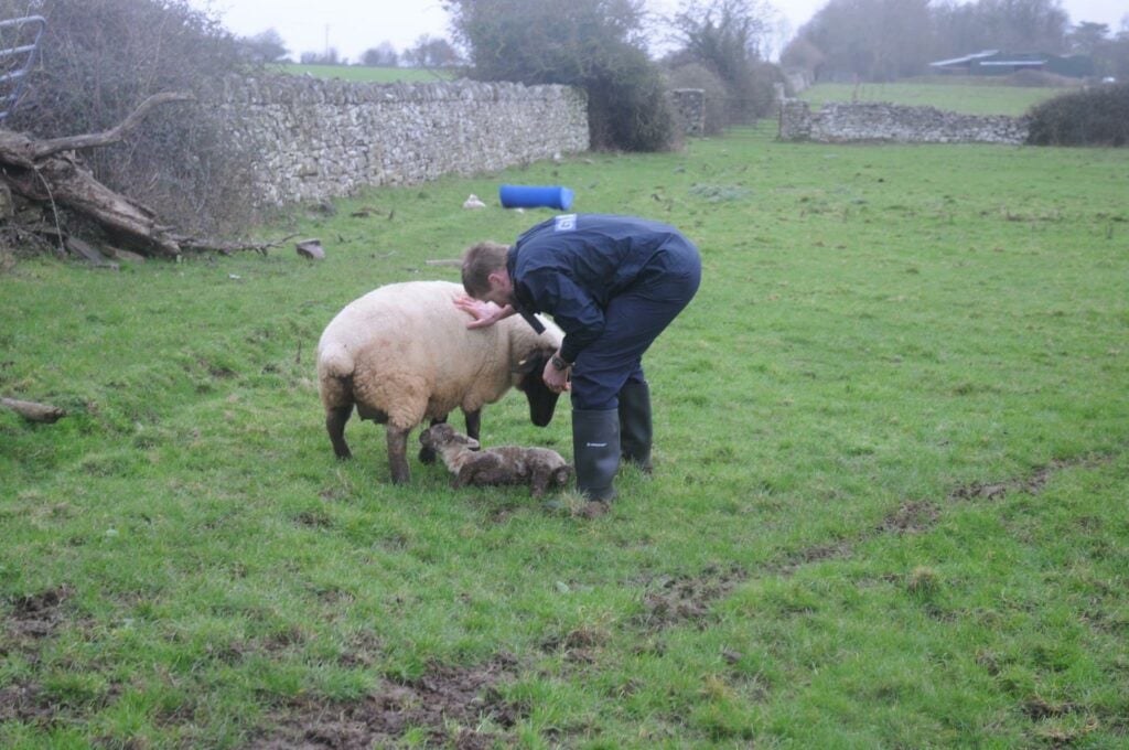 Image source: An Garda Siochana Kilkenny/Carlow