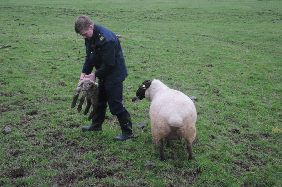 Image source: An Garda Siochana Kilkenny/Carlow