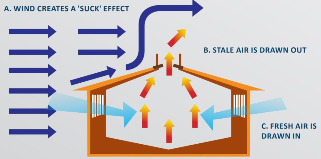 Image source: Teagasc