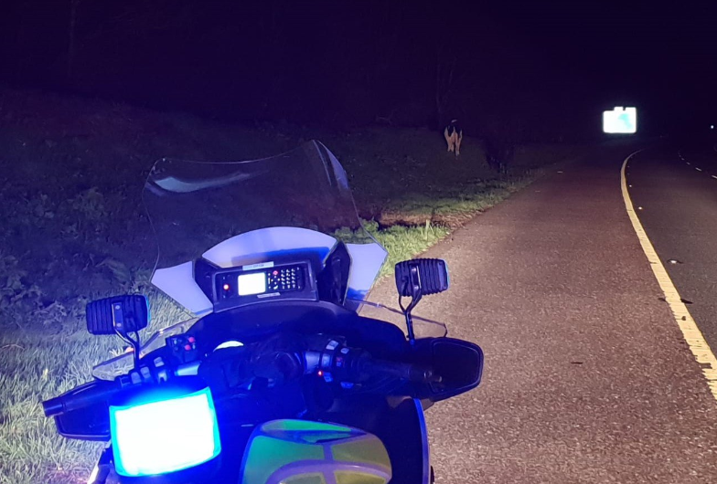 Image source: An Garda Siochana Twitter